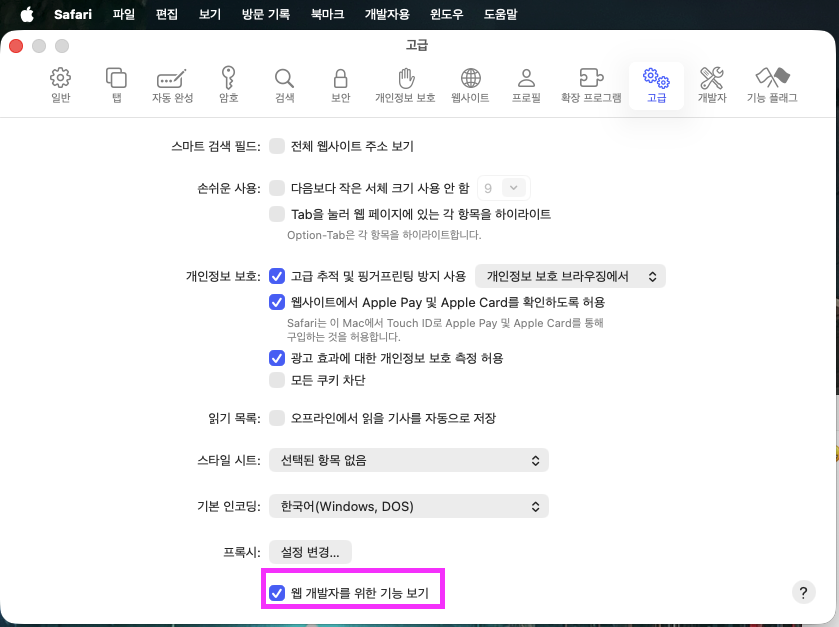 Safari 에서 개발자도구 사용하기