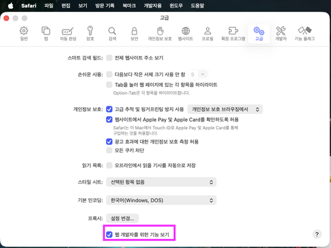 Safari 에서 개발자도구 사용하기