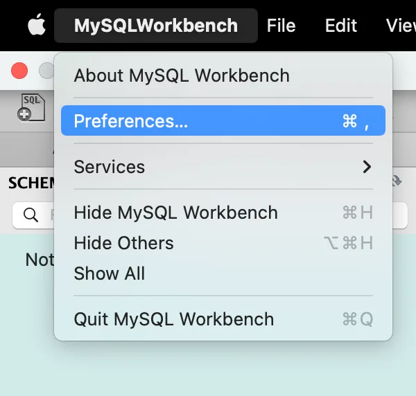 mysql 워크벤치 데이터 1000개까지만 조회될 때