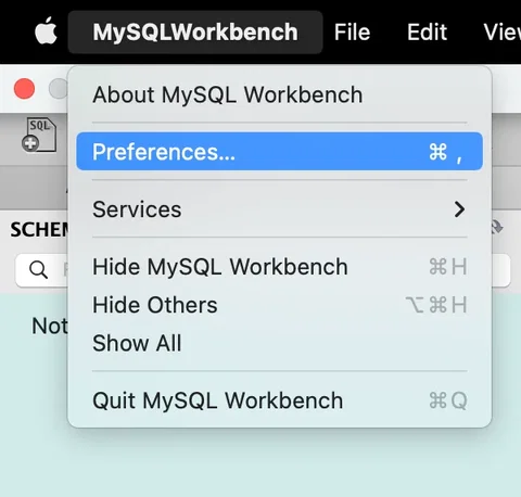 mysql 워크벤치 데이터 1000개까지만 조회될 때