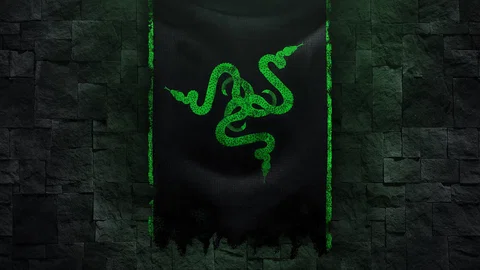 Razer viper ultimate 무선, Hammerhead pro v2 이어폰 리뷰