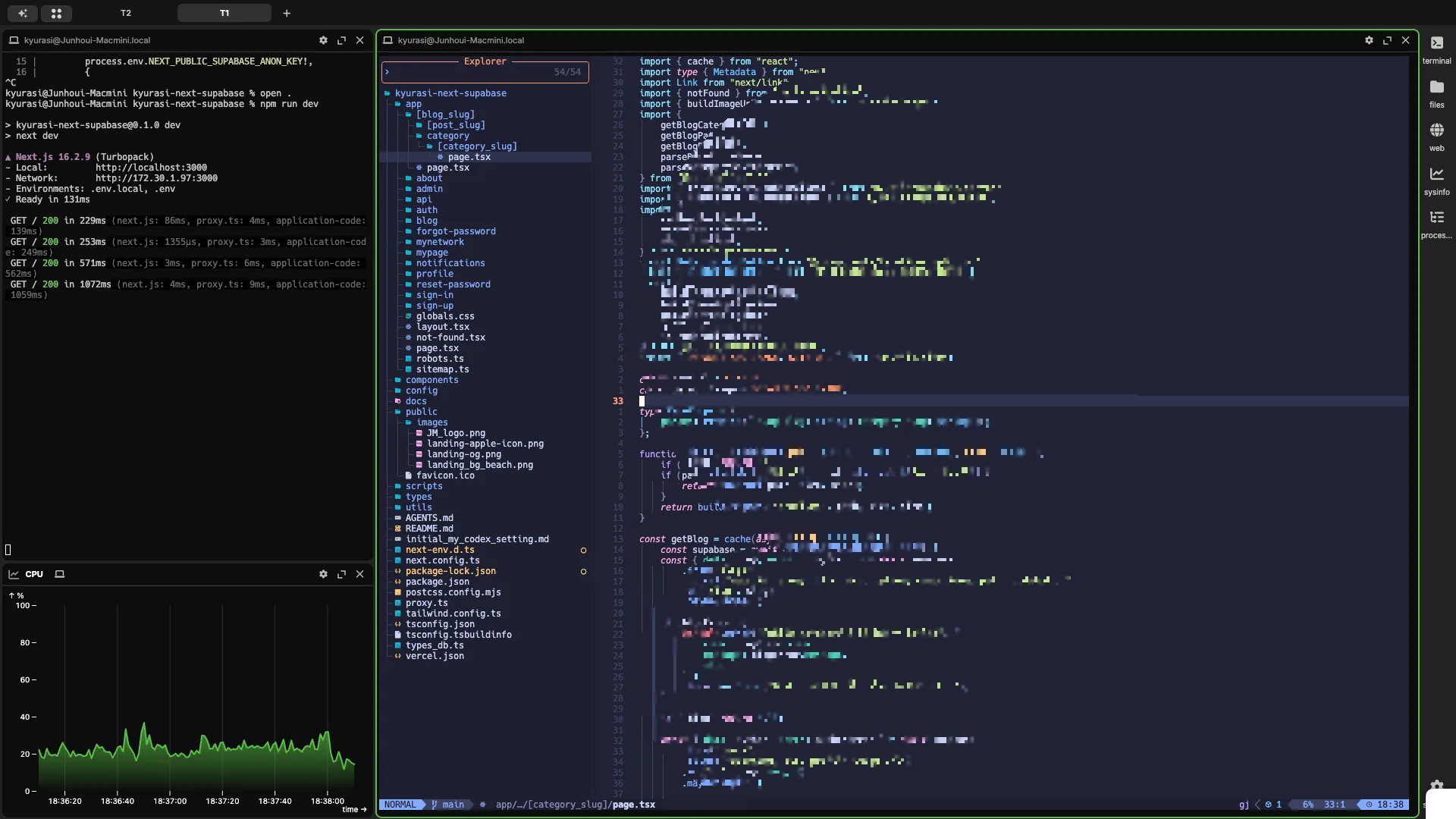 좌측 npm run dev, CPU 우측 NeoVim